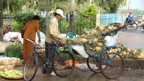 Dứa Việt Nam - Sputnik Việt Nam