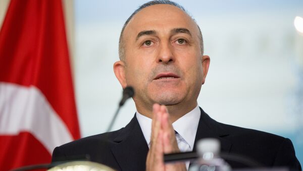 Mevlut Cavusoglu - Sputnik Việt Nam