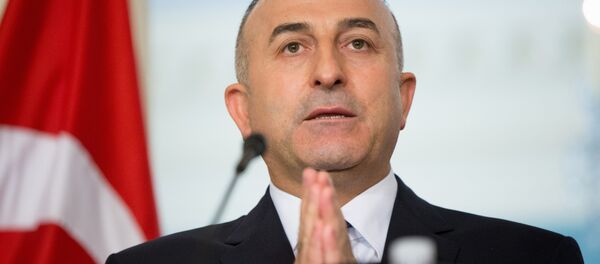 Mevlut Cavusoglu - Sputnik Việt Nam