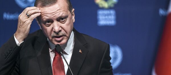 Recep Tayyip Erdogan - Sputnik Việt Nam