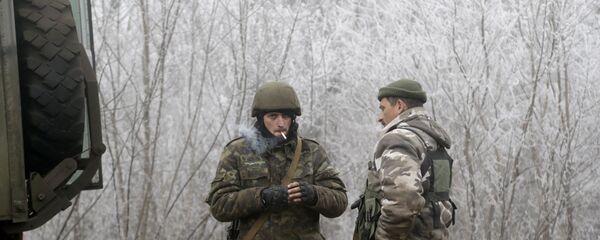 Công lực Ukraina - Sputnik Việt Nam