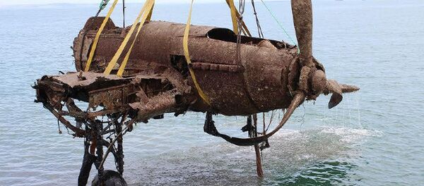 Máy bay tấn công IL-2 được nâng lên từ đáy eo biển Kerch - Sputnik Việt Nam