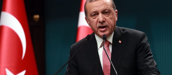 Tayyip Erdogan Tayyip Erdogan - Sputnik Việt Nam