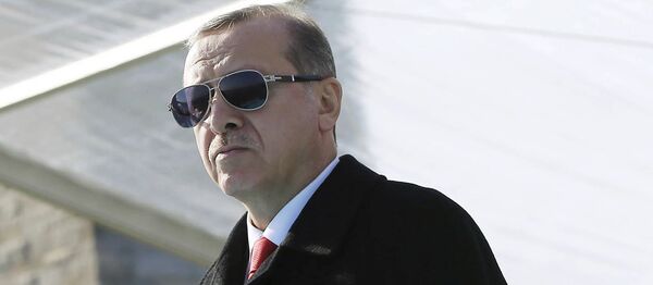 Recep Tayyip Erdogan - Sputnik Việt Nam