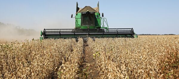 Ngành nông nghiệp Nga - Sputnik Việt Nam