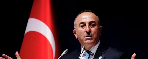 Mevlut Cavusoglu - Sputnik Việt Nam