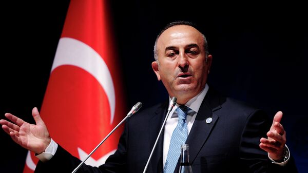 Mevlut Cavusoglu - Sputnik Việt Nam