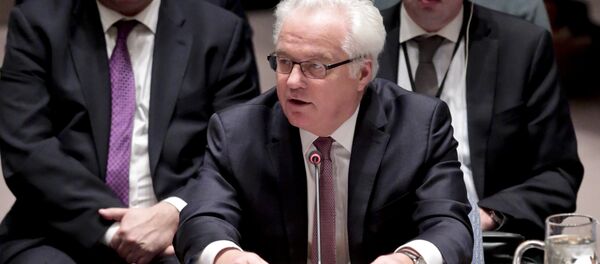 Vitaly Churkin - Sputnik Việt Nam