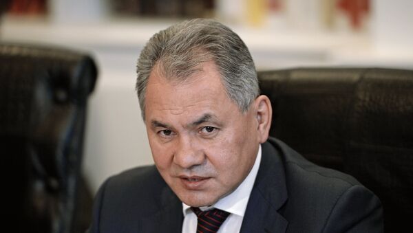 Sergei Shoigu - Sputnik Việt Nam