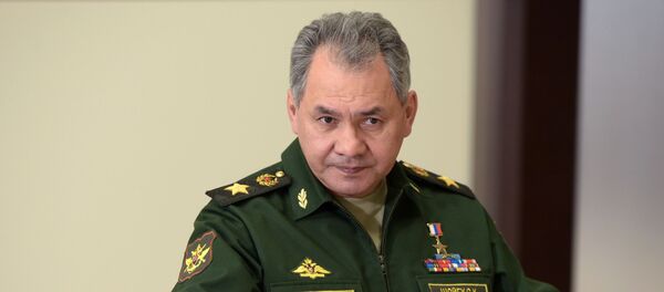 Bộ trưởng Quốc phòng Nga Sergei Shoigu - Sputnik Việt Nam