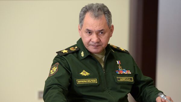 Bộ trưởng Quốc phòng Nga Sergei Shoigu - Sputnik Việt Nam