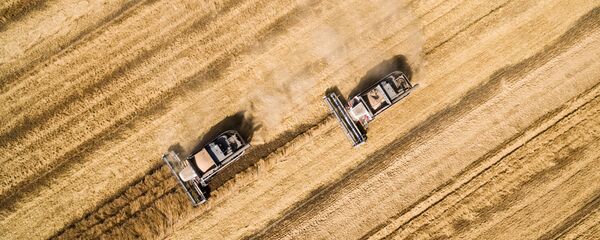 Ngũ cốc Ngũ cốc - Sputnik Việt Nam