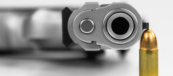 Khẩu súng - Sputnik Việt Nam