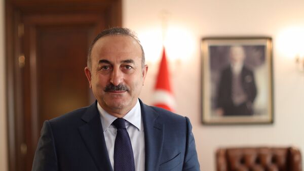 Mevlut Cavusoglu - Sputnik Việt Nam