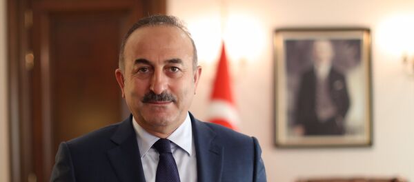 Mevlut Cavusoglu - Sputnik Việt Nam
