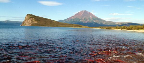 Hồ Kuril ở Kamchatka - Sputnik Việt Nam