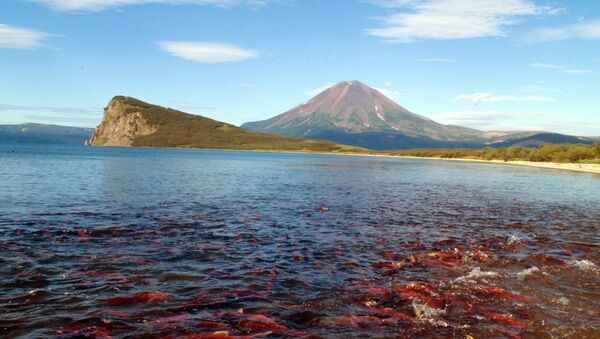 Hồ Kuril ở Kamchatka - Sputnik Việt Nam