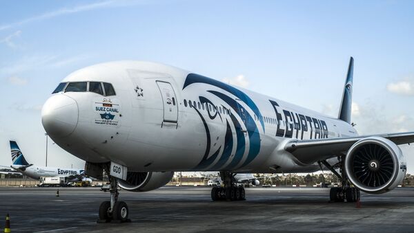 Máy bay Egypt Air tại sân bay Cairo - Sputnik Việt Nam