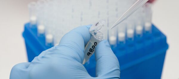 Virus Zika Virus Zika - Sputnik Việt Nam