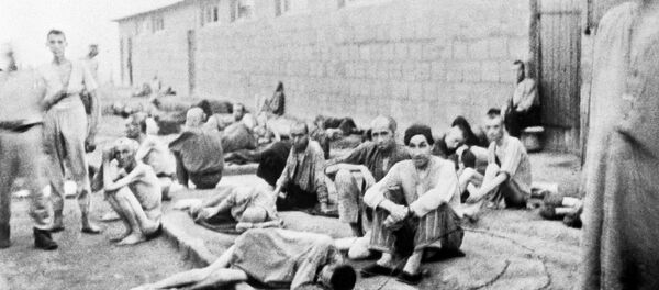 Trại tập trung Mauthausen - Sputnik Việt Nam