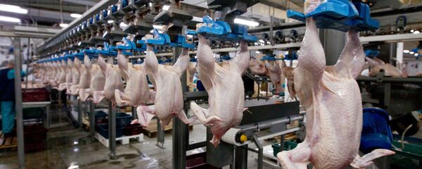 sản xuất thịt ở Tomsk - Sputnik Việt Nam