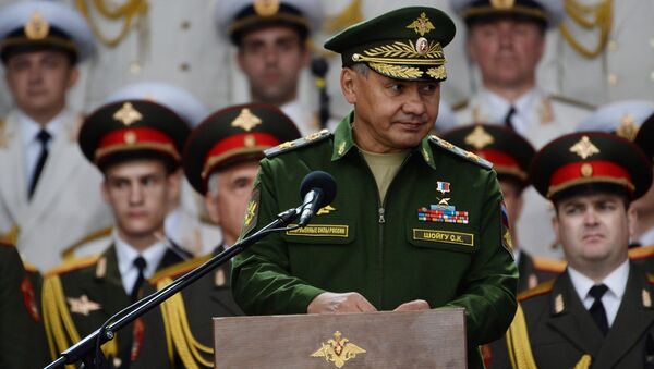 Bộ trưởng Quốc phòng Nga Sergei Shoigu - Sputnik Việt Nam