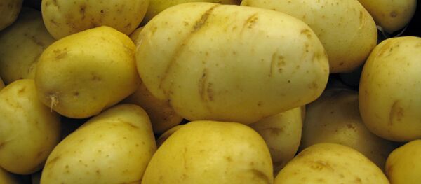 khoai tây - Sputnik Việt Nam