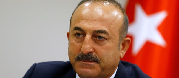 Mevlut Cavusoglu - Sputnik Việt Nam