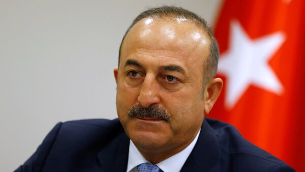 Mevlut Cavusoglu - Sputnik Việt Nam