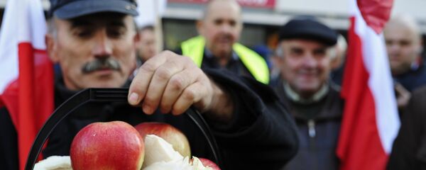 Cuộc biểu tình nông dân Ba Lan tại Warsawa - Sputnik Việt Nam