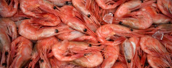 Tôm  - Sputnik Việt Nam