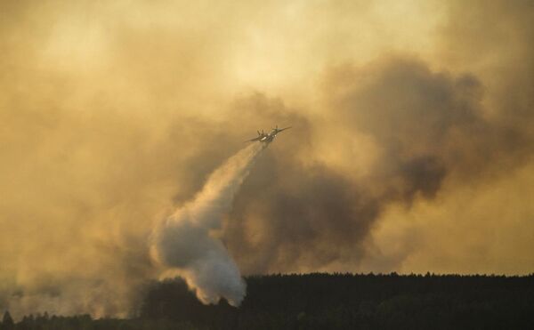 Dập đám cháy rừng ở Ukraine Dập đám cháy rừng ở Ukraine - Sputnik Việt Nam