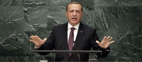 Tổng thống Thổ Nhĩ Kỳ Tayyip Erdogan Tổng thống Thổ Nhĩ Kỳ Tayyip Erdogan - Sputnik Việt Nam