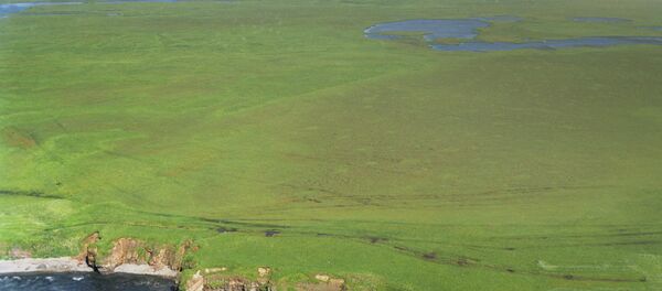 Quần đảo Kuril - Sputnik Việt Nam