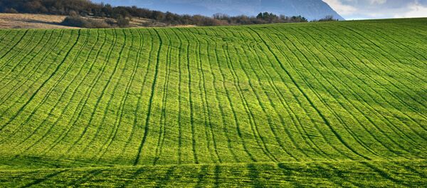 Crưm - Sputnik Việt Nam