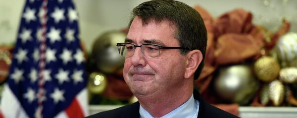 Ashton Carter - Sputnik Việt Nam