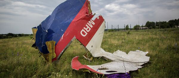 MH17 MH17 - Sputnik Việt Nam