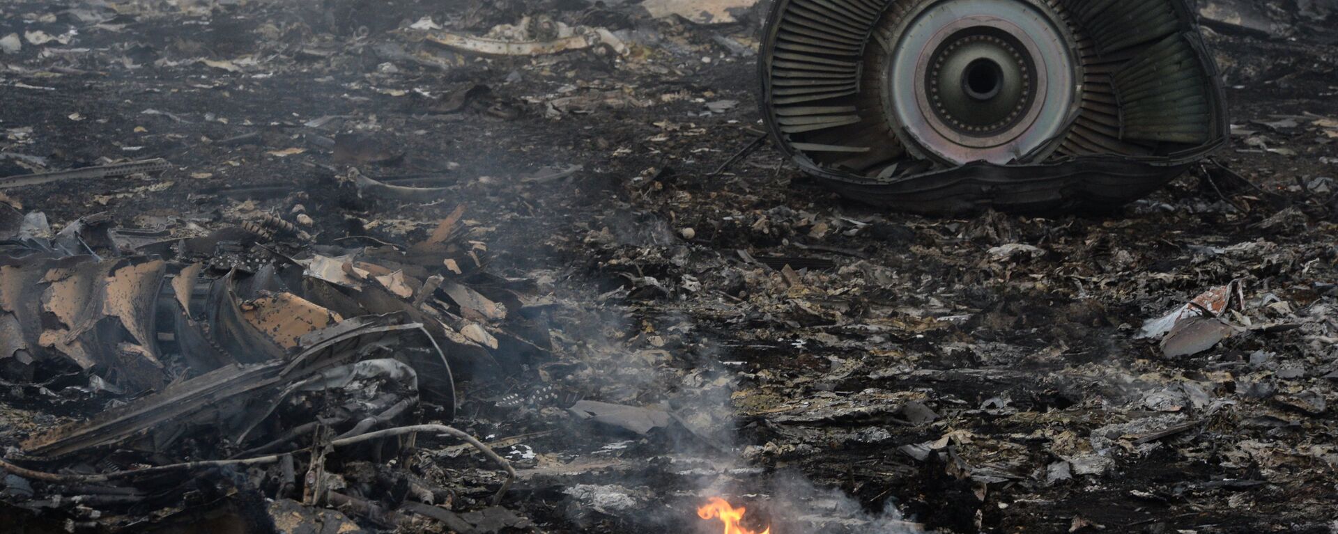 MH17 - Sputnik Việt Nam, 1920, 16.11.2022