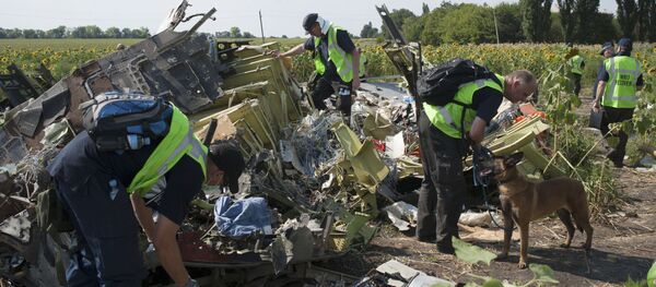 Chuyên gia Hà Lan, Australia và Malaysia điều tra vụ tai nạn của chuyến bay MH17 ở Ukraina - Sputnik Việt Nam