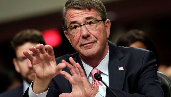 Ashton Carter - Sputnik Việt Nam