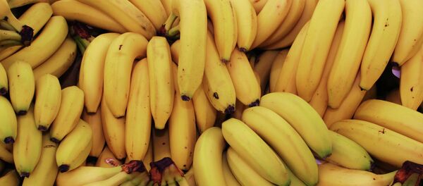 chuối - Sputnik Việt Nam