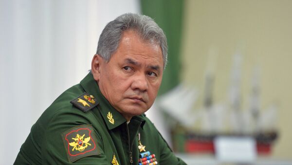 Sergey Shoigu - Sputnik Việt Nam