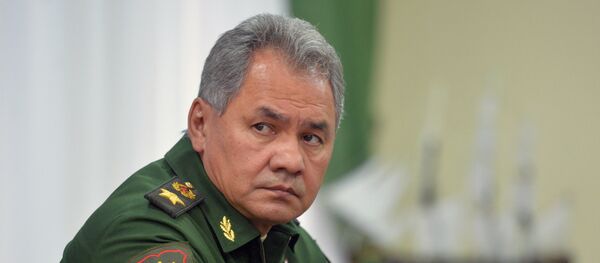Sergey Shoigu - Sputnik Việt Nam