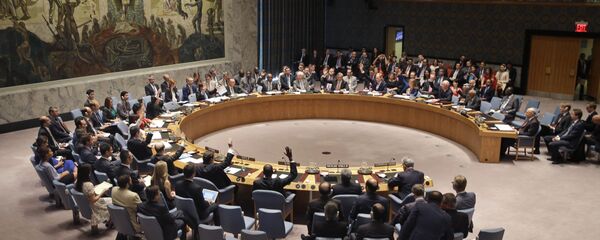 Hội đồng Bảo an Liên Hợp Quốc - Sputnik Việt Nam