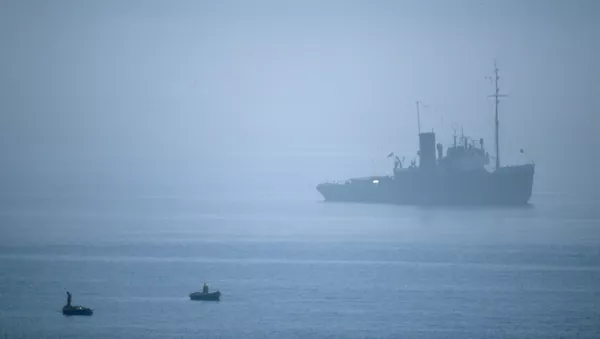 Con tàu - Sputnik Việt Nam