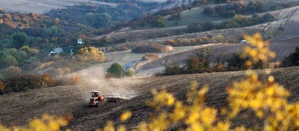 Những hình ảnh nổi bật nhất trong tuần. 8-14 tháng Mười - Sputnik Việt Nam