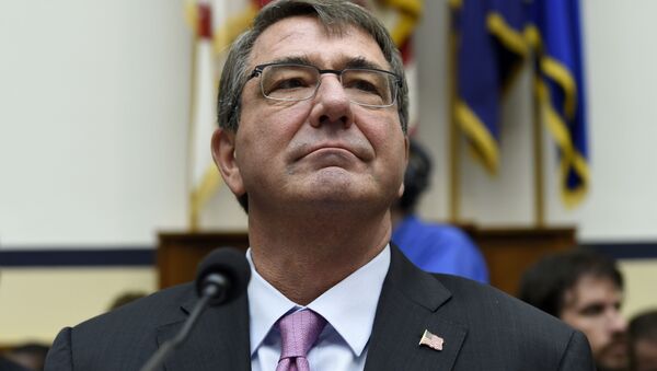 Bộ trưởng Quốc phòng Mỹ Ashton Carter - Sputnik Việt Nam