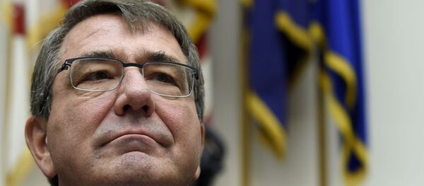 Bộ trưởng Quốc phòng Mỹ Ashton Carter Bộ trưởng Quốc phòng Mỹ Ashton Carter - Sputnik Việt Nam