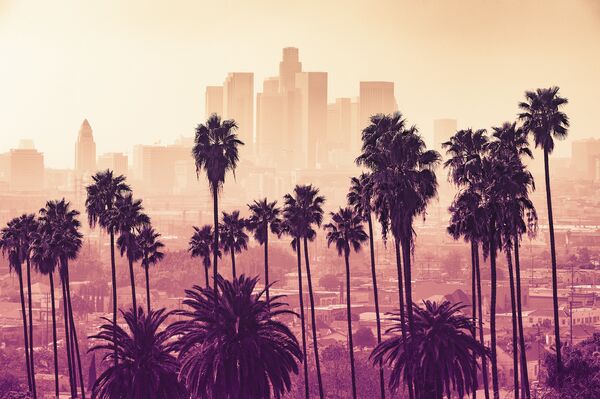 Cảnh nhìn vào thành phố Los Angeles của Hoa Kỳ - Sputnik Việt Nam