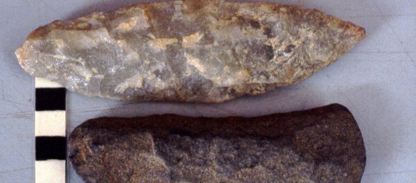 Chiếc rìu tay - Sputnik Việt Nam